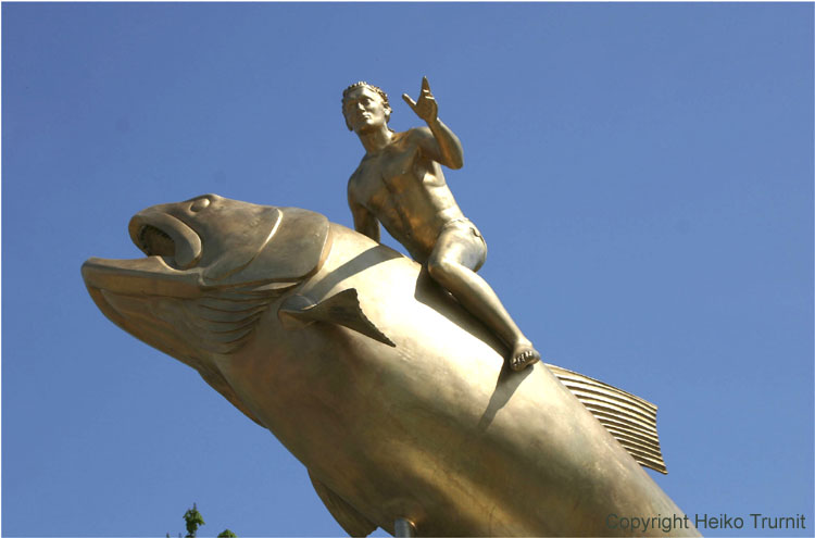 Huchen-Reiter auf der Innbruecke Simbach