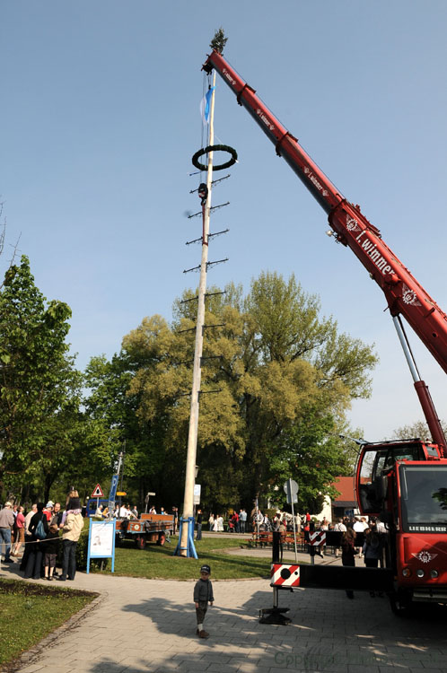 Maibaum