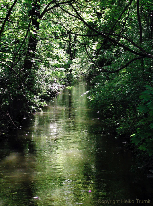 Biedersteiner_Kanal