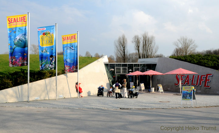 Olympiapark_Sealife