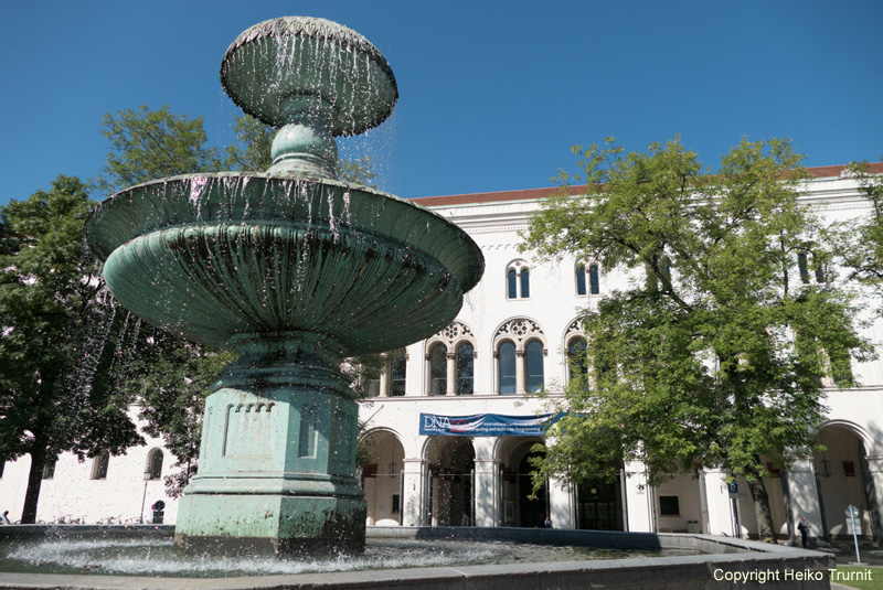 Universitaet
