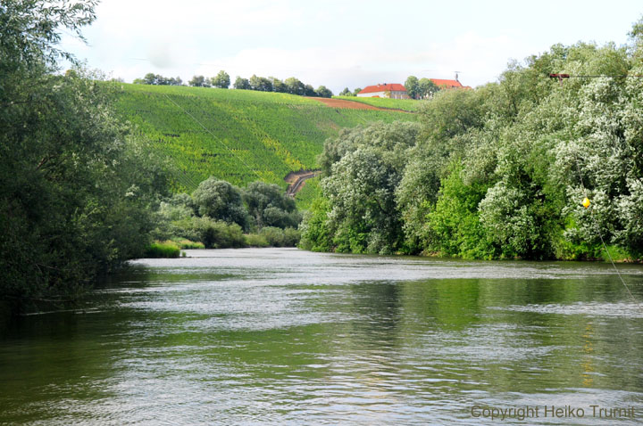 Nordheim Weibau