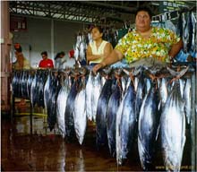 10.Fischerfrauen in Papeete's Markthalle