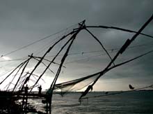 Chin.Netze in Cochin