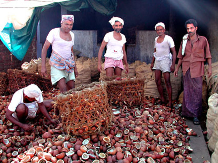 Kopra in Calicut