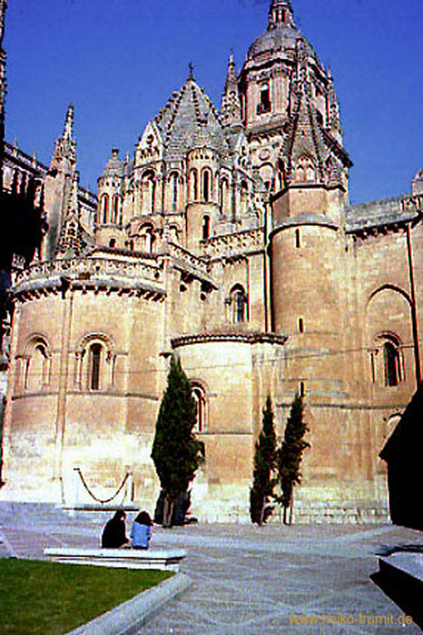 59.1.19.Alte Kathedrale (12.Jh) von Salamanca