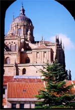 59.1.33.Alte Kathedrale Salamanca