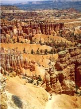 19.Navajo-Trail im Bryce Canyon