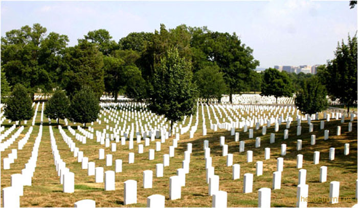 32.Arlington Military Cemetery