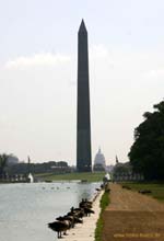 3.Reflecting Pool, Blick zum Capitol