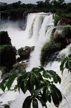 127.Maechtige Wasser, Iguazu