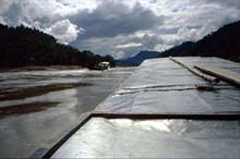 Fahrt auf dem Mekong