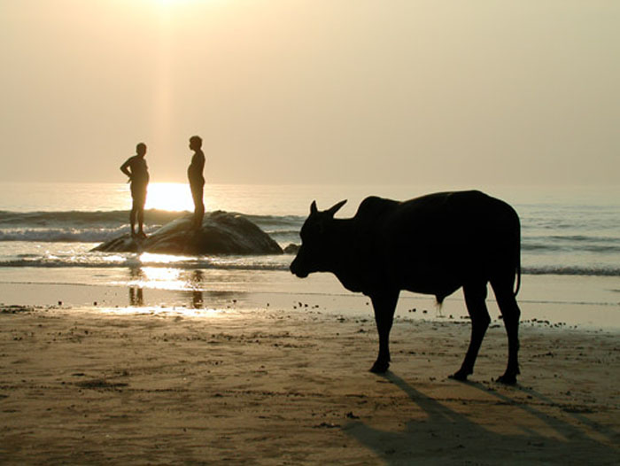 Gokarna-2