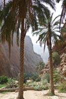 Wadi Shaab 5