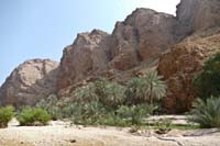 Wadi Shaab 7