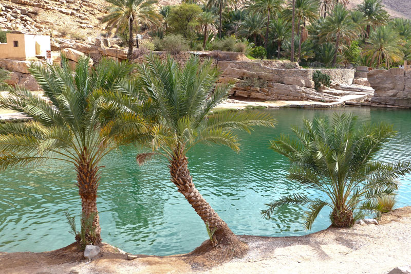 Wadi Bani Khalid 7