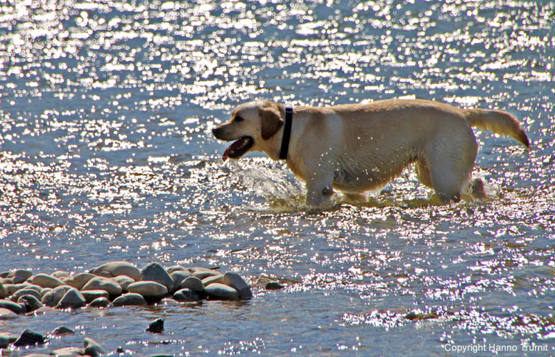 027.In der Isar