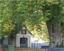 106.Nepomuk-Kapelle unter 225-jaehr. Linde