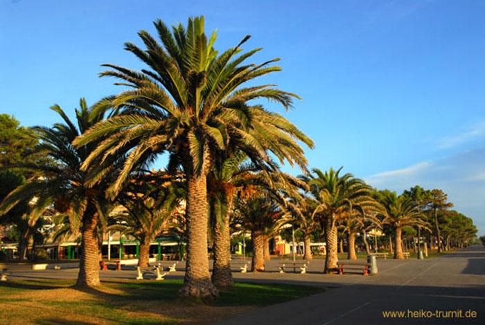 Argeles-sur-Mer-1