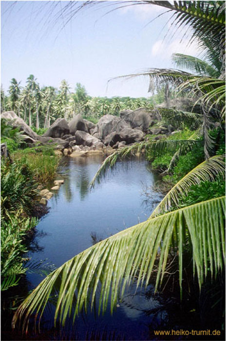 23.Lagune auf La Digue