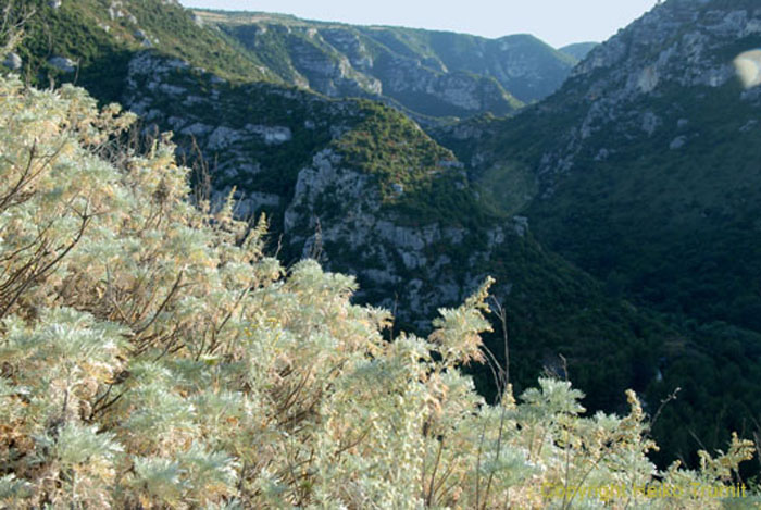 Valle dell'Anapo