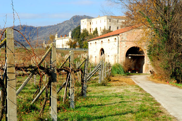 Weingut Salvan-1