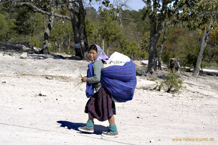 Tarahumara