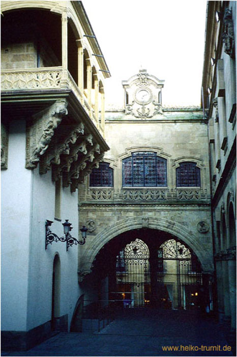 59.2.05.Palacio de Fonseca Salamanca