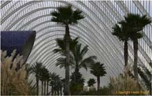 35.Palmengang Ciudad de las Artes y las Ciencias