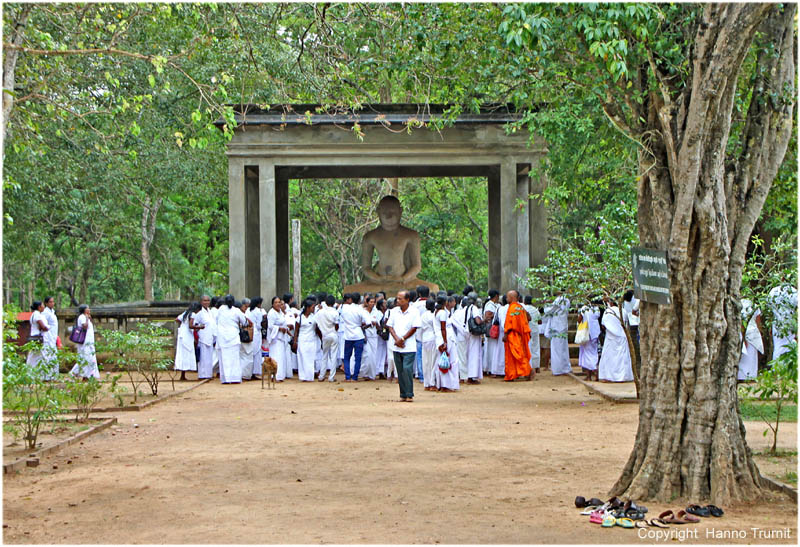 852.Beim schönsten Buddha