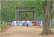 852.Beim schönsten Buddha