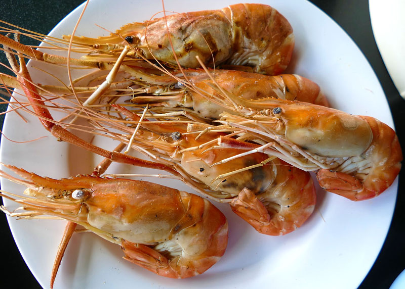 Prawns