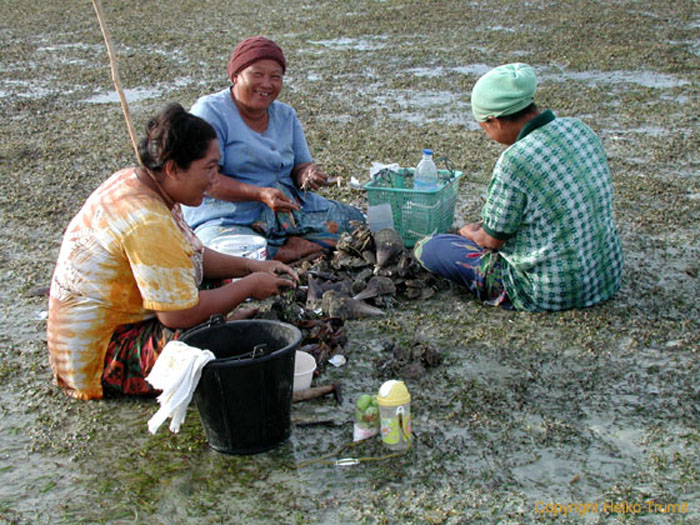 Muschelsammlerinnen