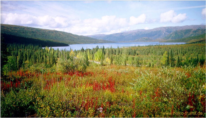 45.Herbstfarben im Denali Park