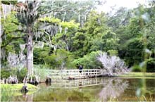 46.Teich Orton Plantation