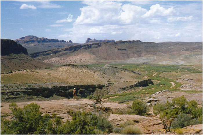 43.Canyonlands Arizona