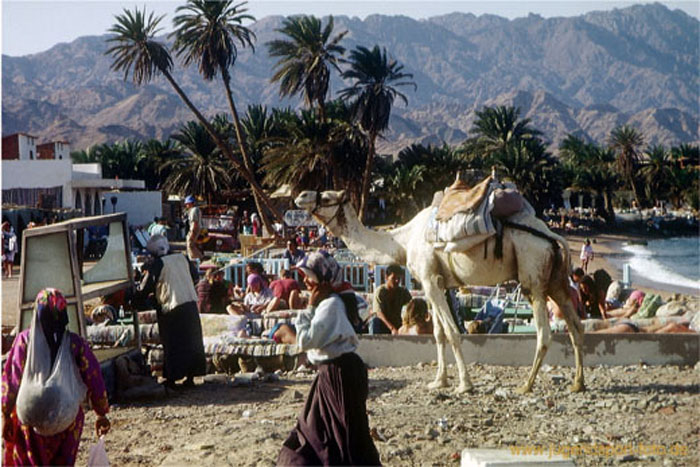 08.Strandleben auf arabisch, Sinai