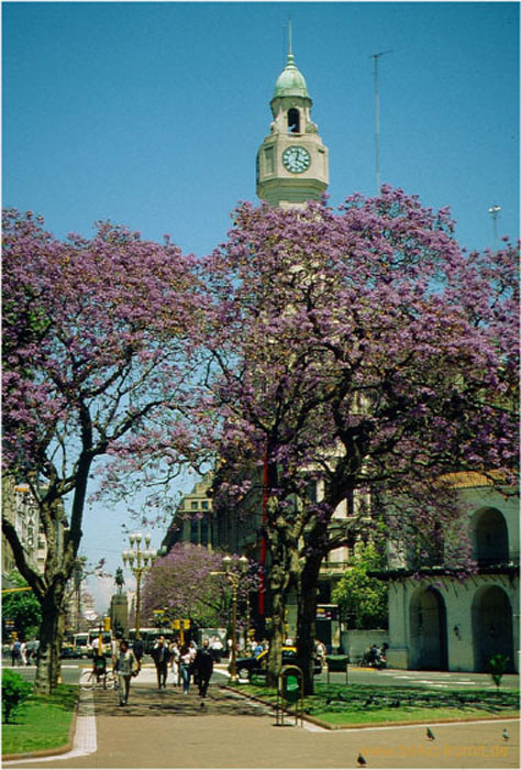 5.Plaza de 25 Mayo, B.A