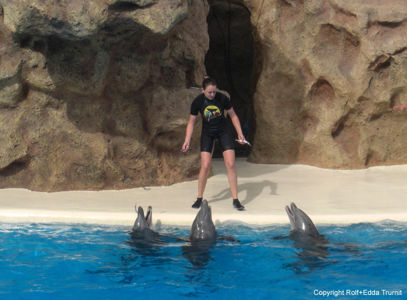 Loro Parque-11