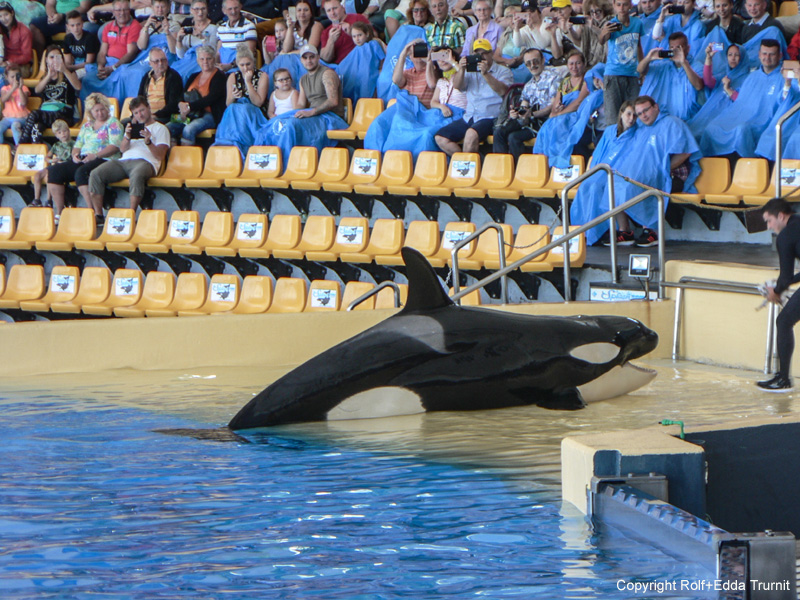 Loro Parque-4