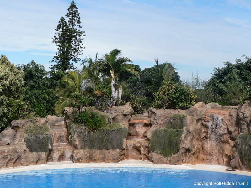 Loro Parque-5