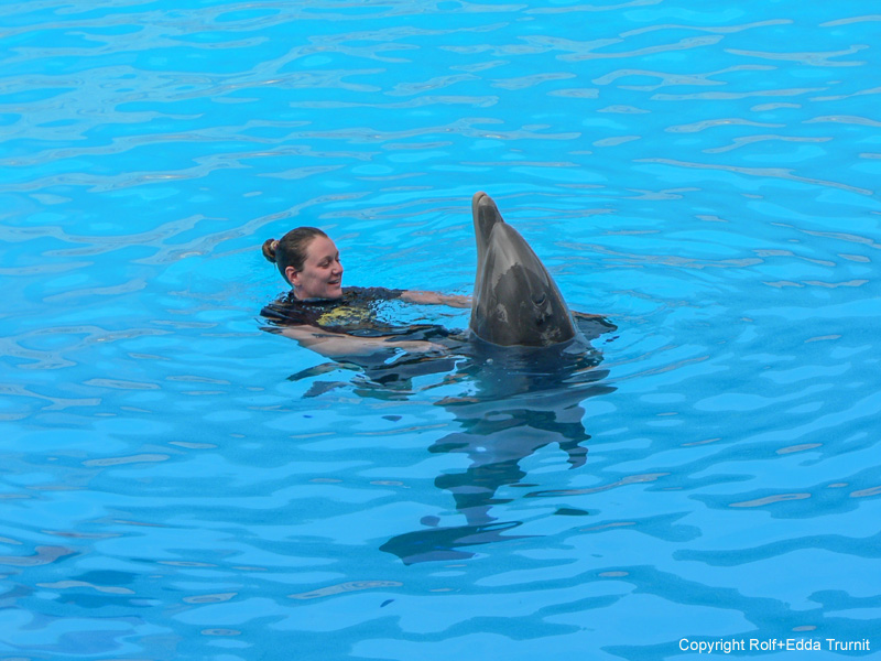 Loro Parque-6