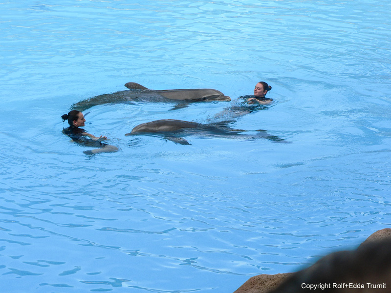 Loro Parque-7