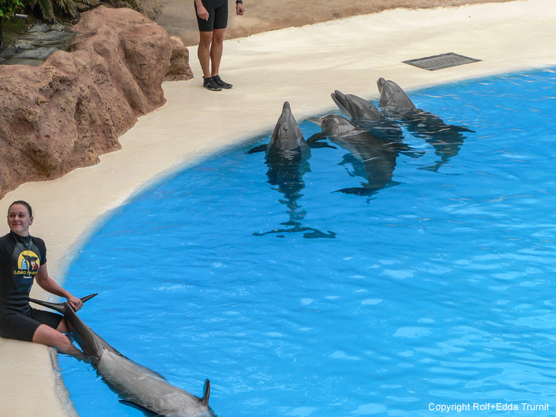 Loro Parque-8