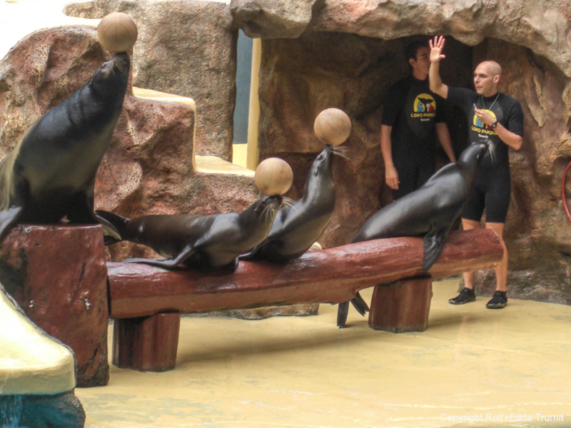 Loro Parque-9