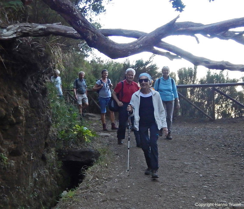 477. Levada-Wandern