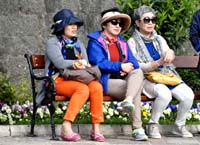 Japanese Tourists