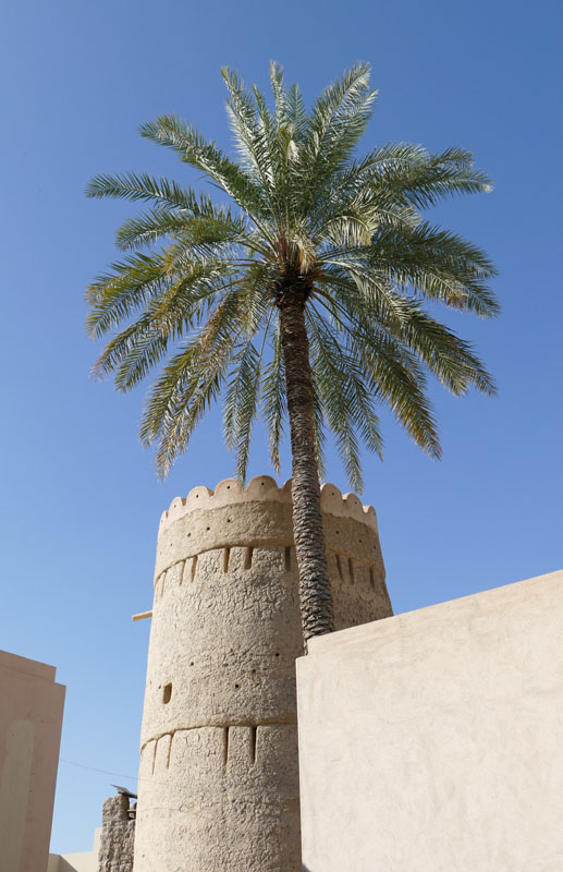 Nizwa 4