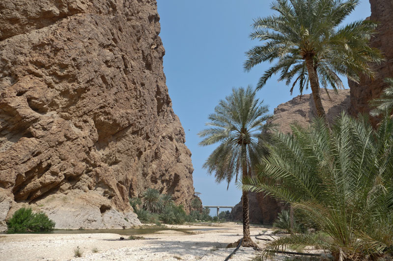 Wadi Shaab 6