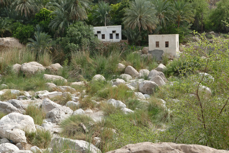 Wadi Tiwi 3